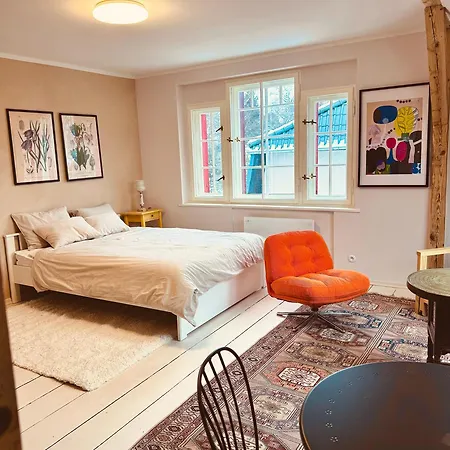 Apartment Hilma Rubinstein - W Historycznej Willi *