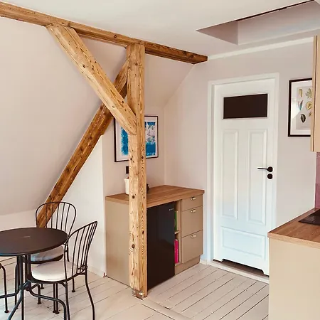 Hilma Rubinstein - W Historycznej Willi Apartment