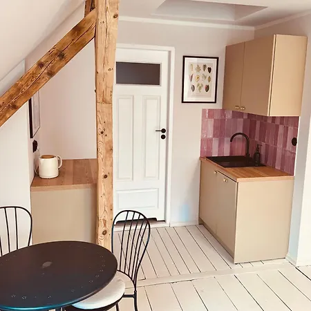 Hilma Rubinstein - W Historycznej Willi Apartment *