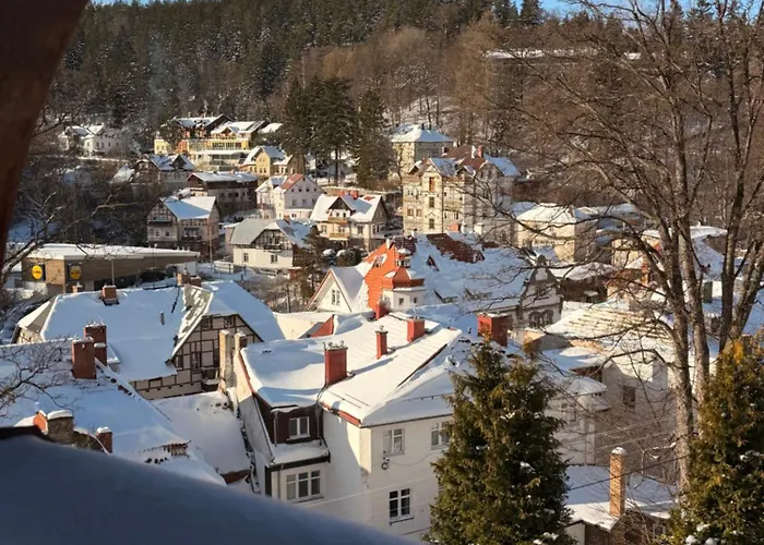 Hilma Rubinstein - W Historycznej Willi Apartamento Szklarska Poręba