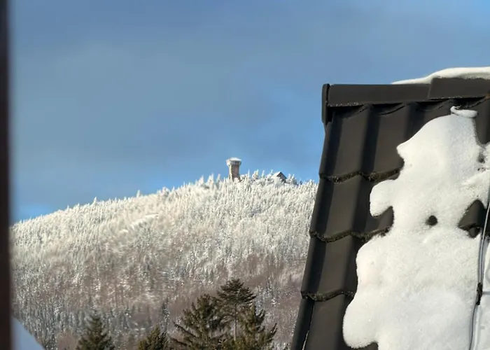 Hilma Rubinstein - W Historycznej Willi Szklarska Poreba