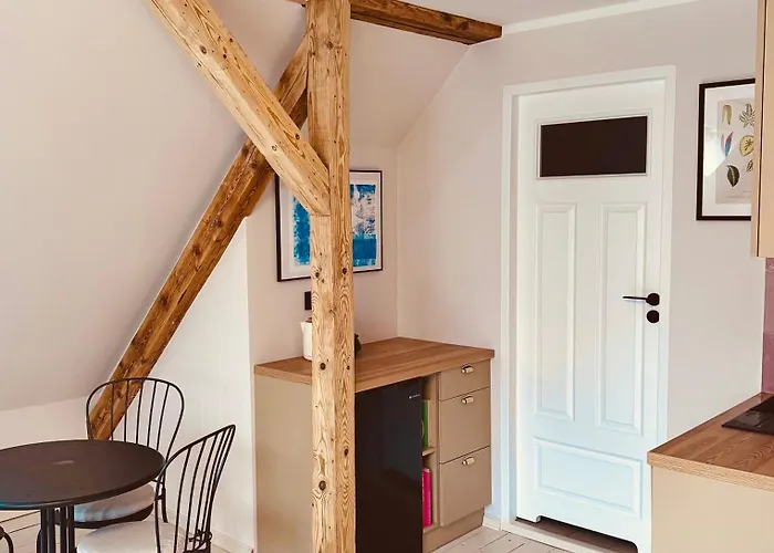 Hilma Rubinstein - W Historycznej Willi Apartamento